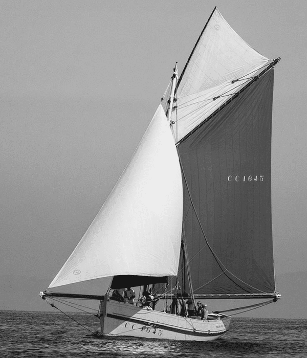 essence pilot cutter