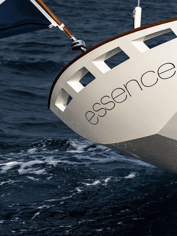 essence vision home