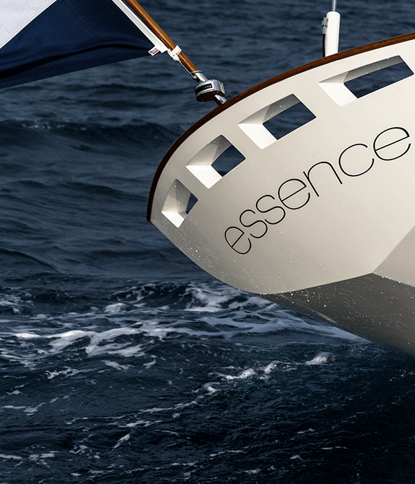 essence vision